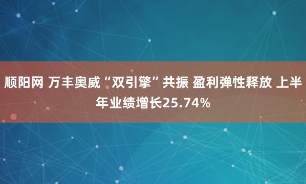 顺阳网 万丰奥威“双引擎”共振 盈利弹性释放 上半年业绩增长25.74%