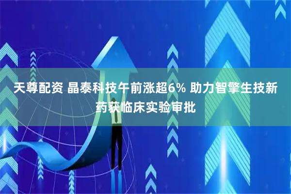 天尊配资 晶泰科技午前涨超6% 助力智擎生技新药获临床实验审批